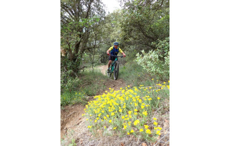 Sortie VTT sur Luberon Est : 08-05-2025 